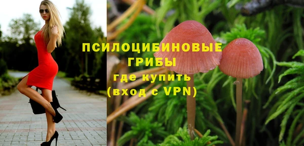 СК Алзамай