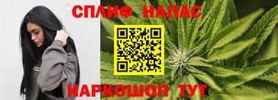 метадон Кингисепп