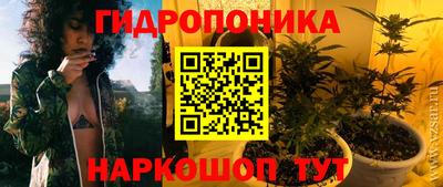 спиды Кинель