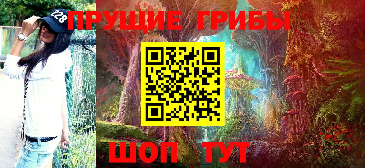 Галлюциногенные грибы GOLDEN TEACHER Ленинск-Кузнецкий