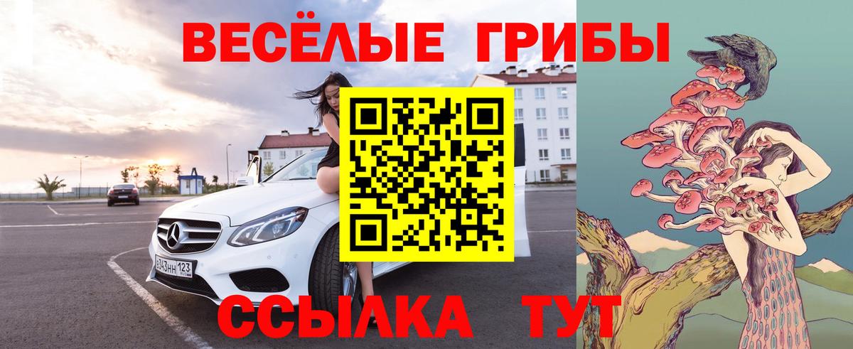 Галлюциногенные грибы GOLDEN TEACHER  Вход с VPN  Ленинск-Кузнецкий 